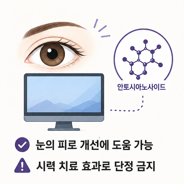 빌베리 추출물이 눈의 피로 개선에 도움을 줄 수 있지만 시력 치료 효과로 단정할 수 없음을 설명한 이미지