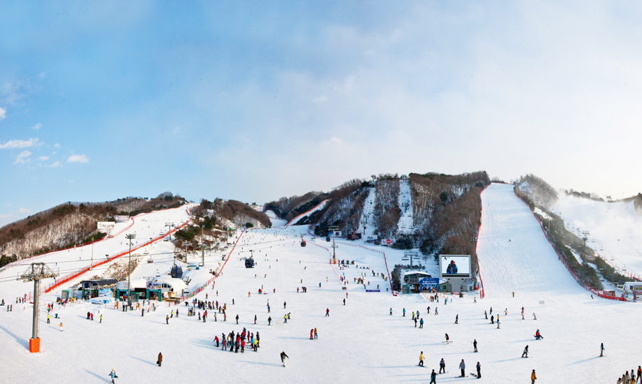 비발디 파크 스키장