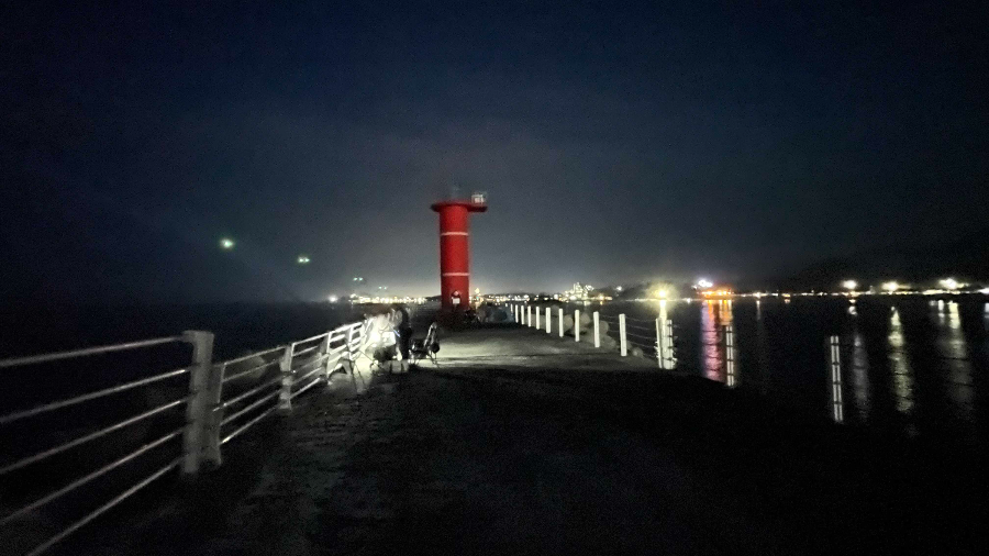 돌고래 횟집 근처 오호항 야경