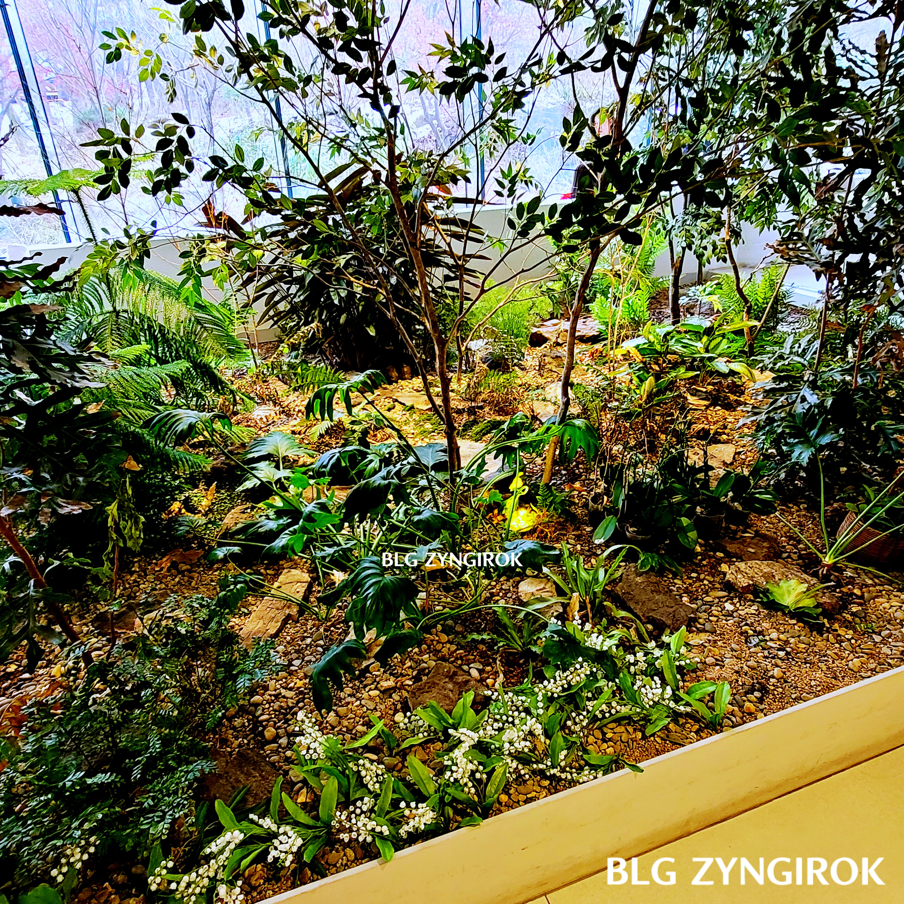 아나키아 1층 정원 모습이다.