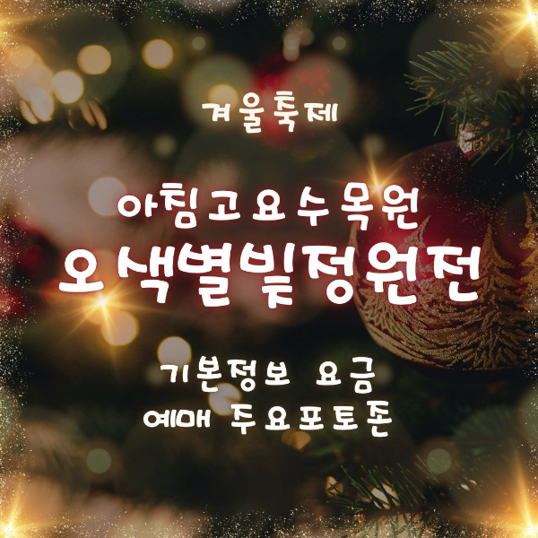 겨울축제/아침고요수목원/오색별빛정원전