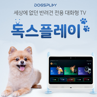 독스플레이