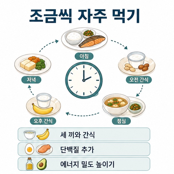한 번에 많은 양을 먹기보다 세 끼 식사와 간식을 이용해 적은 양을 자주 섭취하는 방법을 정리한 이미지