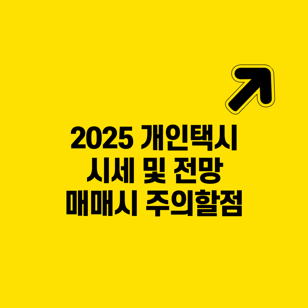2025년 개인택시 시세 및 전망 분석