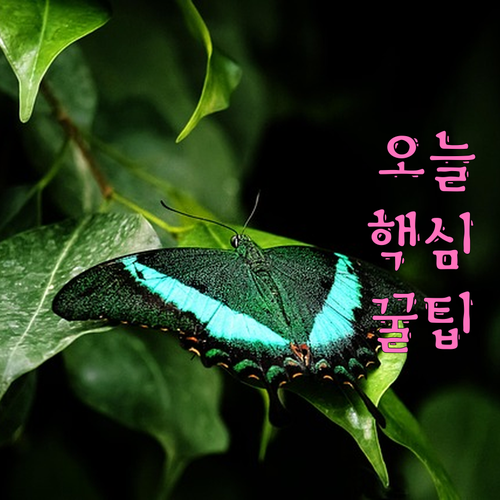 개인회생 보정명령 해결 전략 성공적인