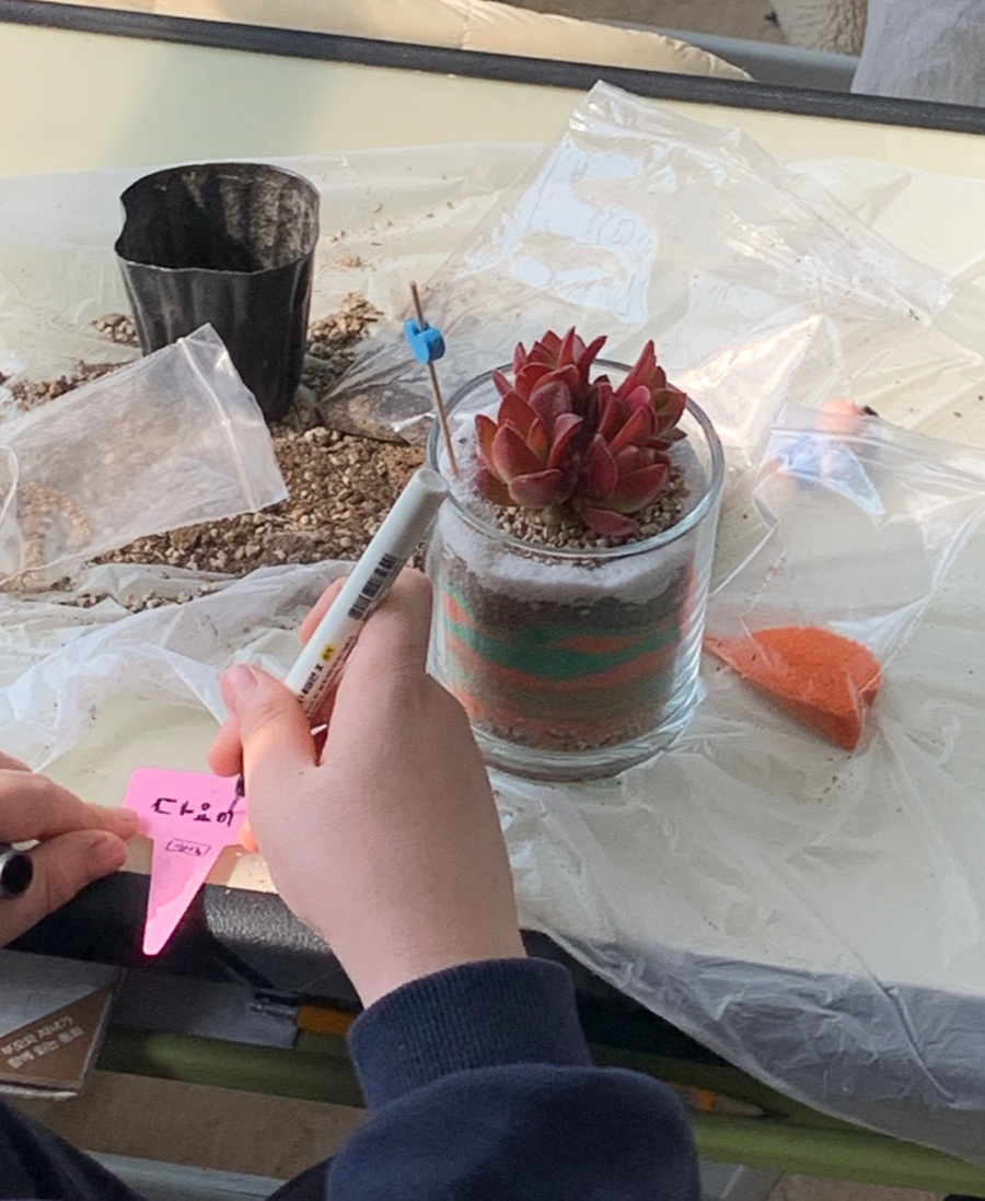 색모래 다육이 테라리움
경기 안양 동안구