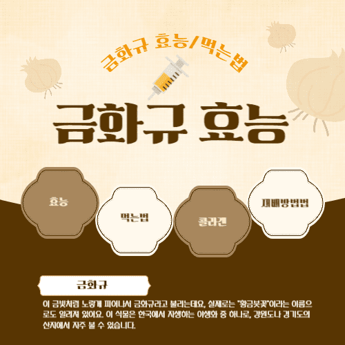 금화규 꽃, 효능, 먹는법, 콜라겐, 재배 방법
