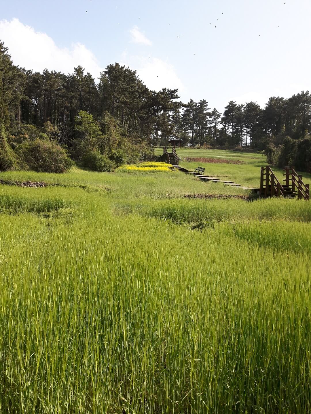 미스트트롯3 공연 지역별 예매 정보