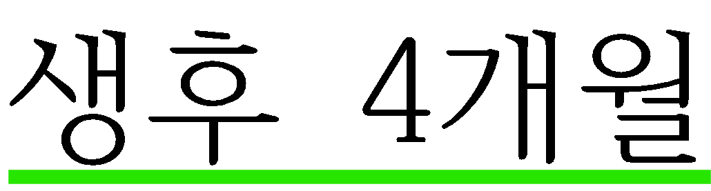 생후 4개월