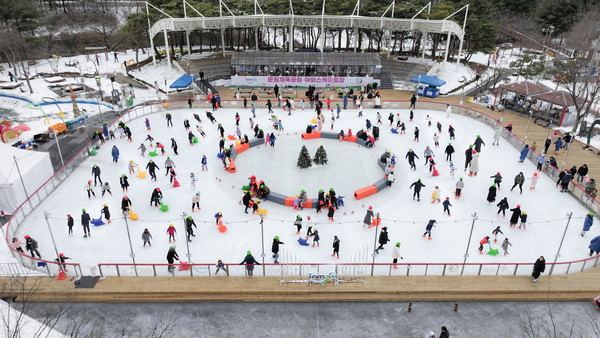 과천 반려견 겨울 나들이 명소, 강아지와 함께 걷기 좋은 산책 코스