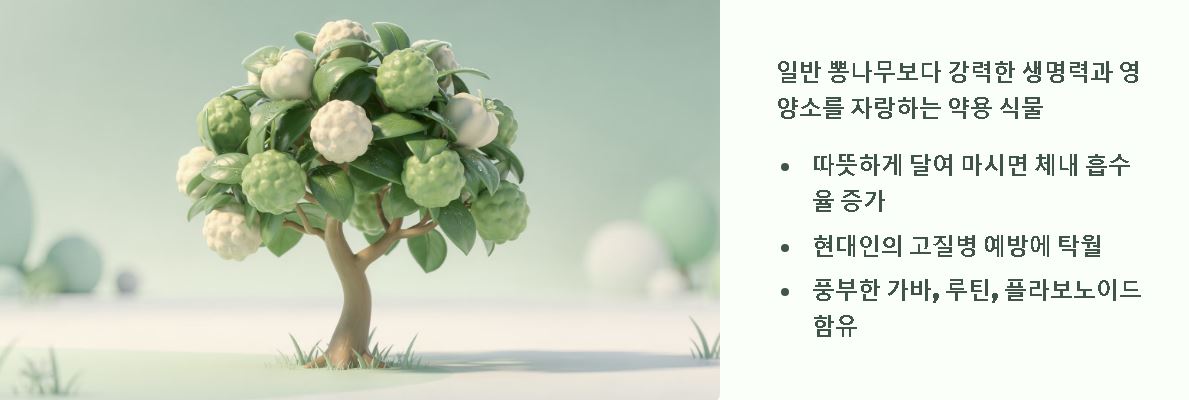 구찌뽕 열매 끓인물효능