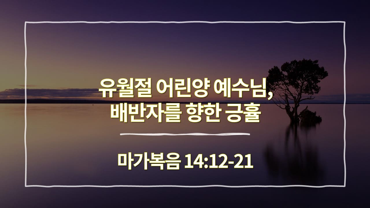 [생명의 삶 묵상] 마가복음 14장 12절-21절&#44; 유월절 어린양 예수님&#44; 배반자를 향한 긍휼