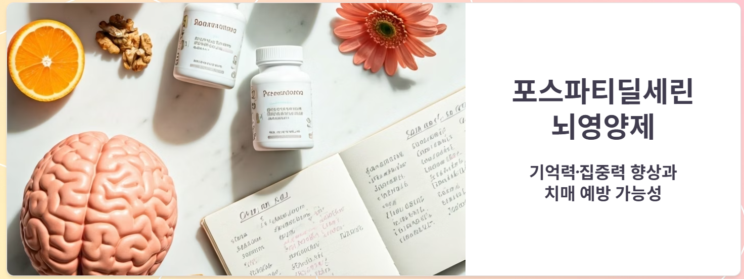 포스파디딜세린 뇌영양제 장기복용 효과, 치매도 예방한다고?