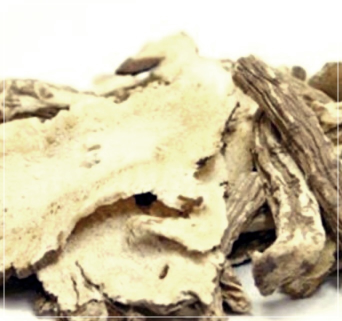 당귀차 효능 만드는 법 부작용 알아보기