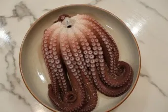 문어 삶는법 문어 요리 레시피_12