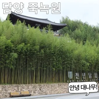 담양 맛집 베스트10 진짜 현지인만 아는곳_5