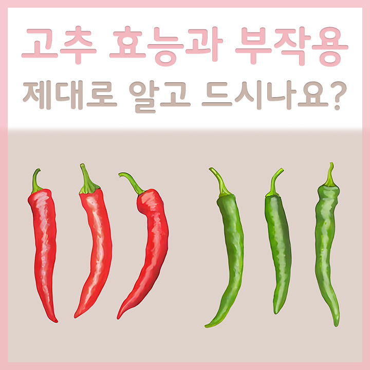고추