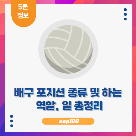 배구 포지션 종류 및 하는 역할, 일 총정리