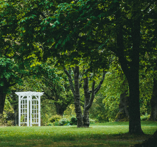 더위먹었을때 증상 대처방법 약 일사병 열사병