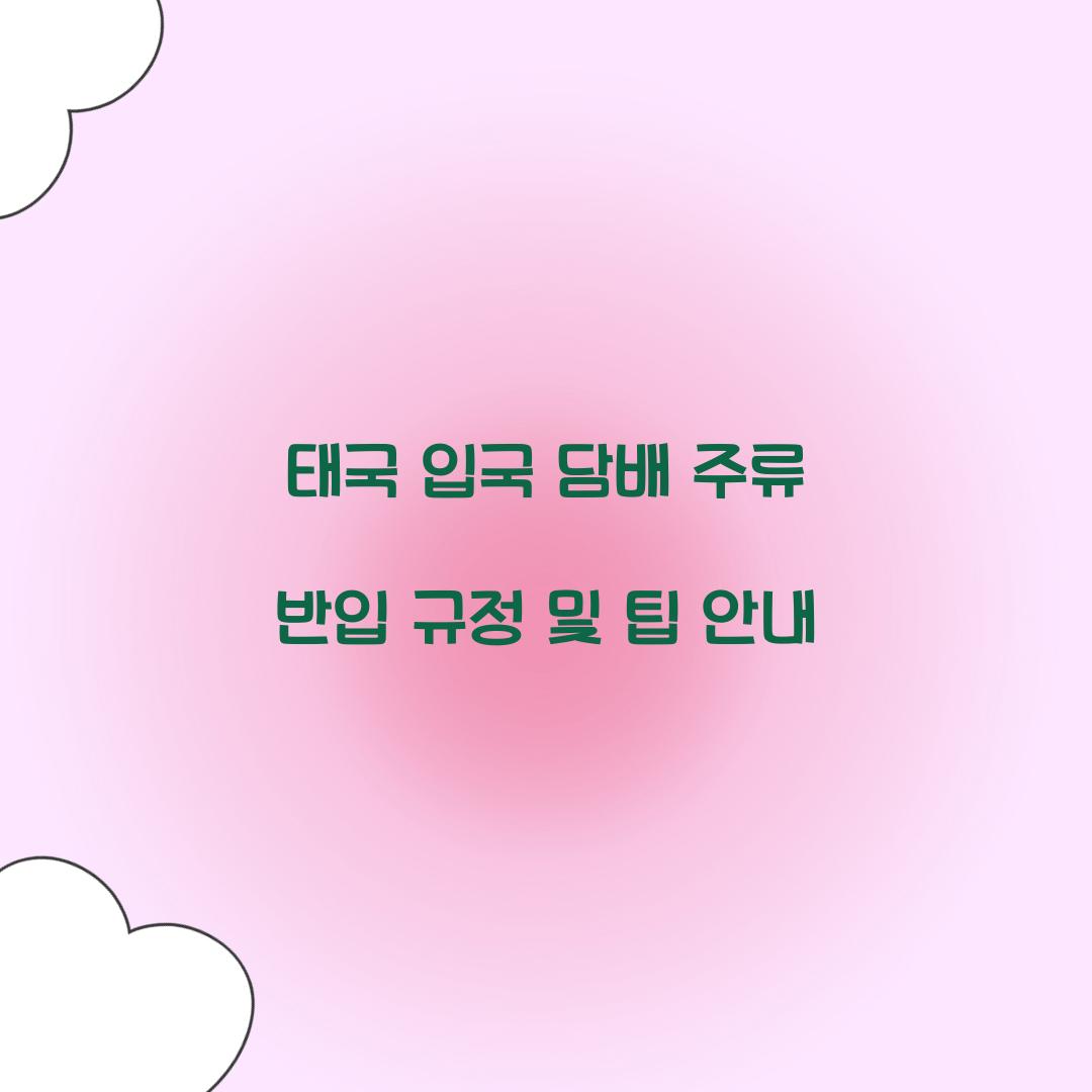 태국 입국 담배 주류 반입 규정