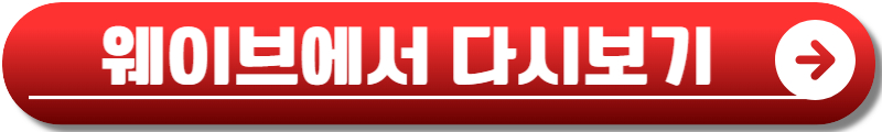 강철부대W 재방송