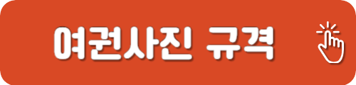 여권사진 규격
