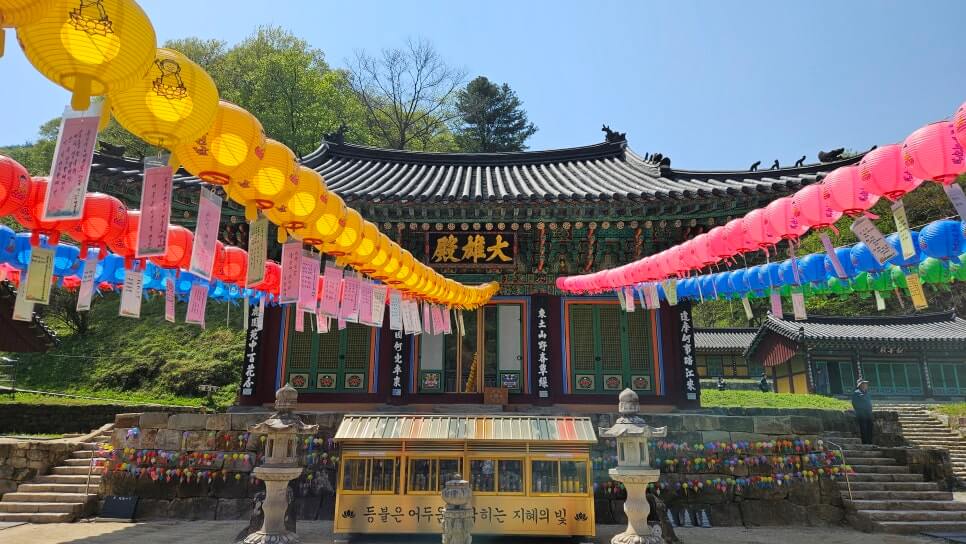 원주 구룡사 : 아홉 용의 전설과 황장목 숲길이 주는 휴식