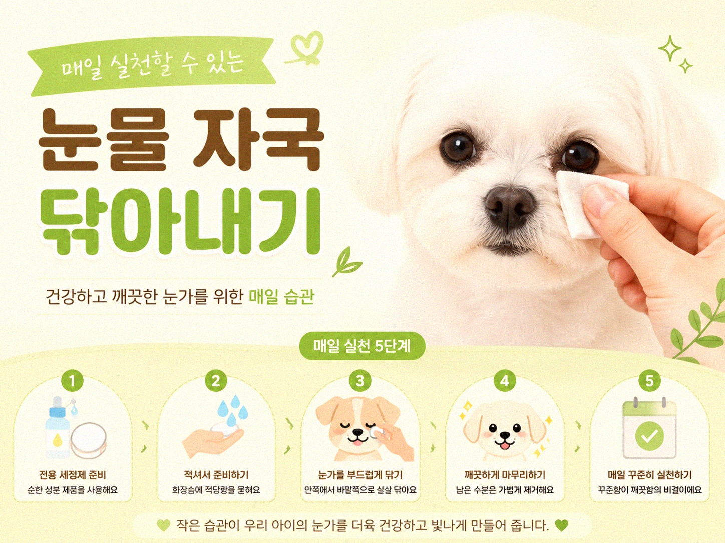 우리 강아지 눈물 자국, 어떻게 관리하나요?
