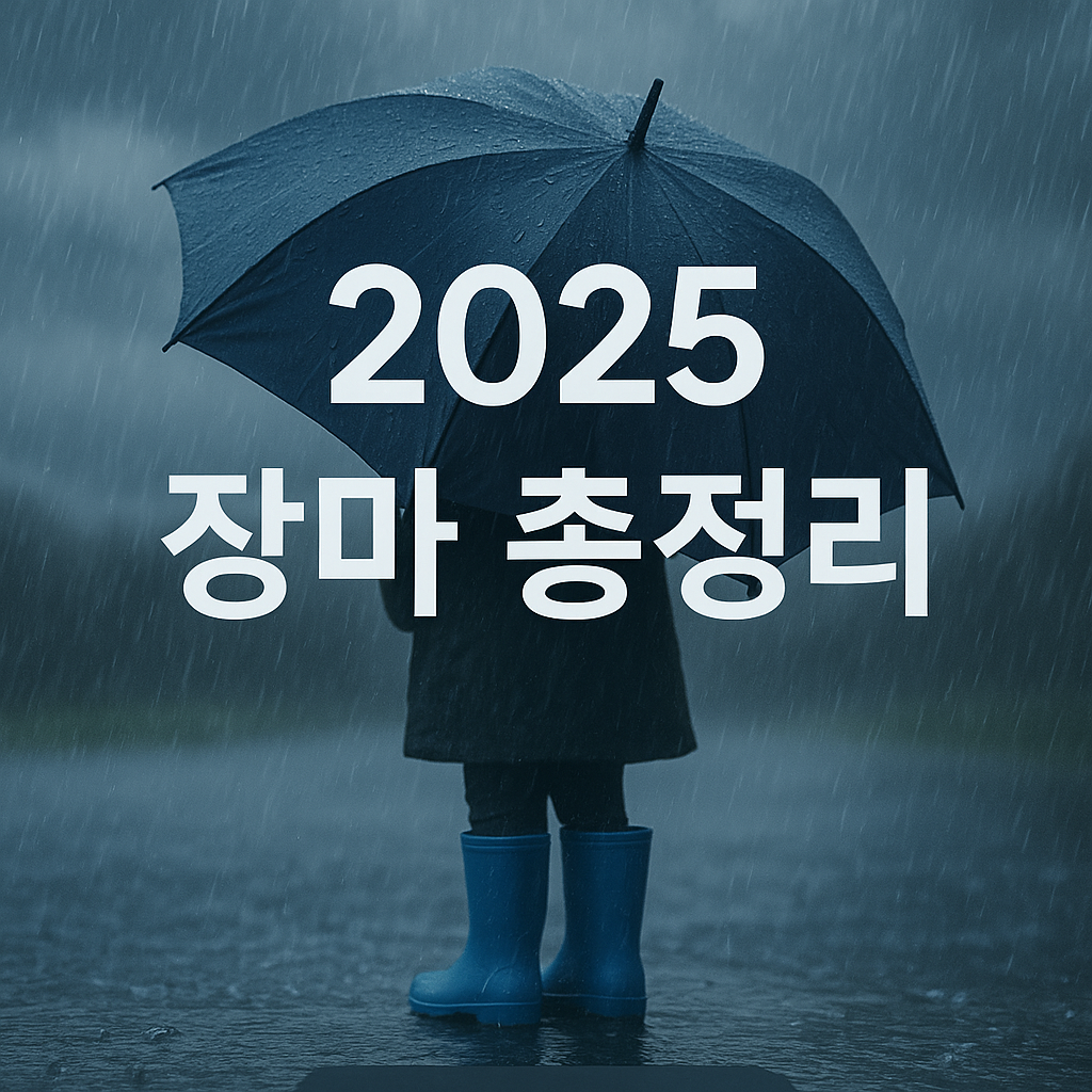 2025 장마 총정리 사진