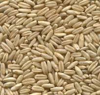 고혈압에 좋은 음식