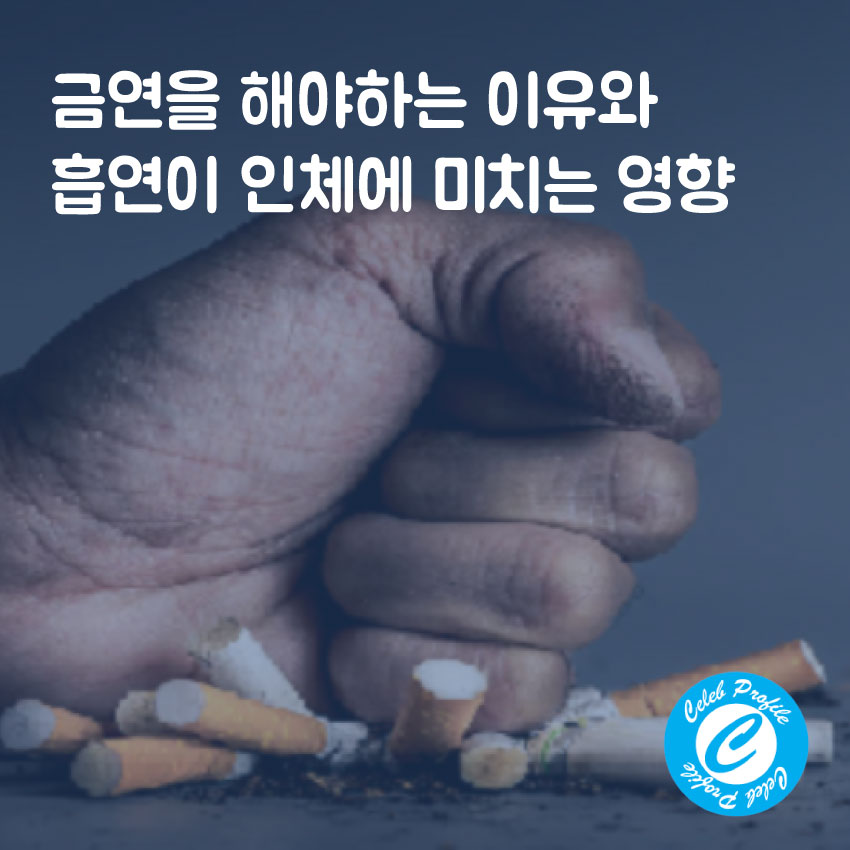 금연 이유