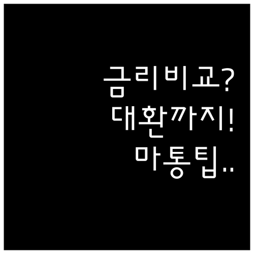 금리 비교부터 대환까지 마이너스통장 ..