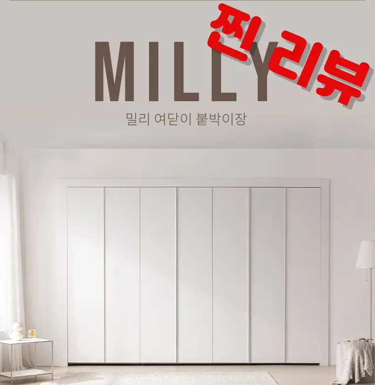 밀리 여닫이 붙박이장 직접 써보고 느낀 솔직한 후기 및 최저가 확인하기 (최소 10만원 절약)