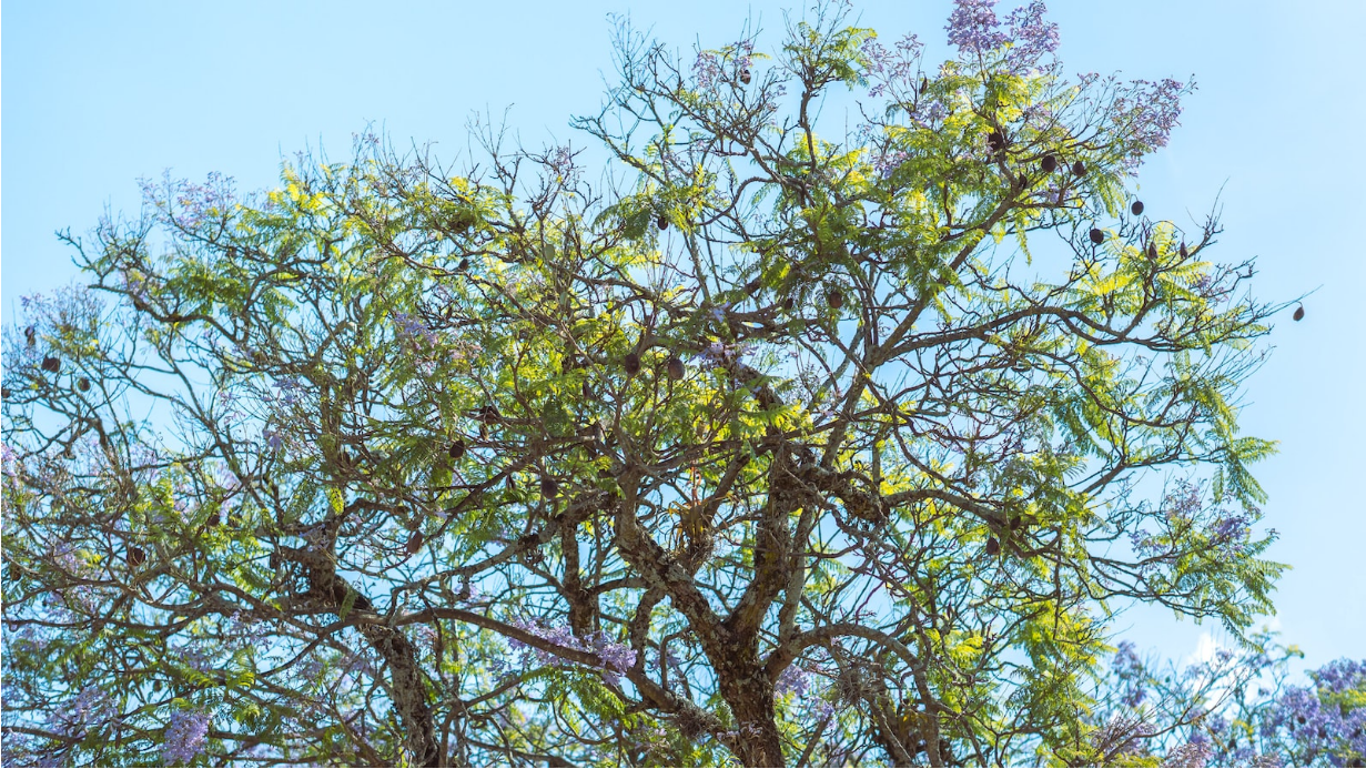 에너지 효율성, 에너지 발자국을 줄이는 방법