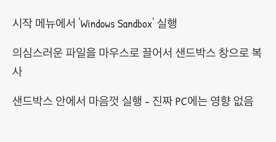 의심스러운 파일, '던져 넣고' 실행하기