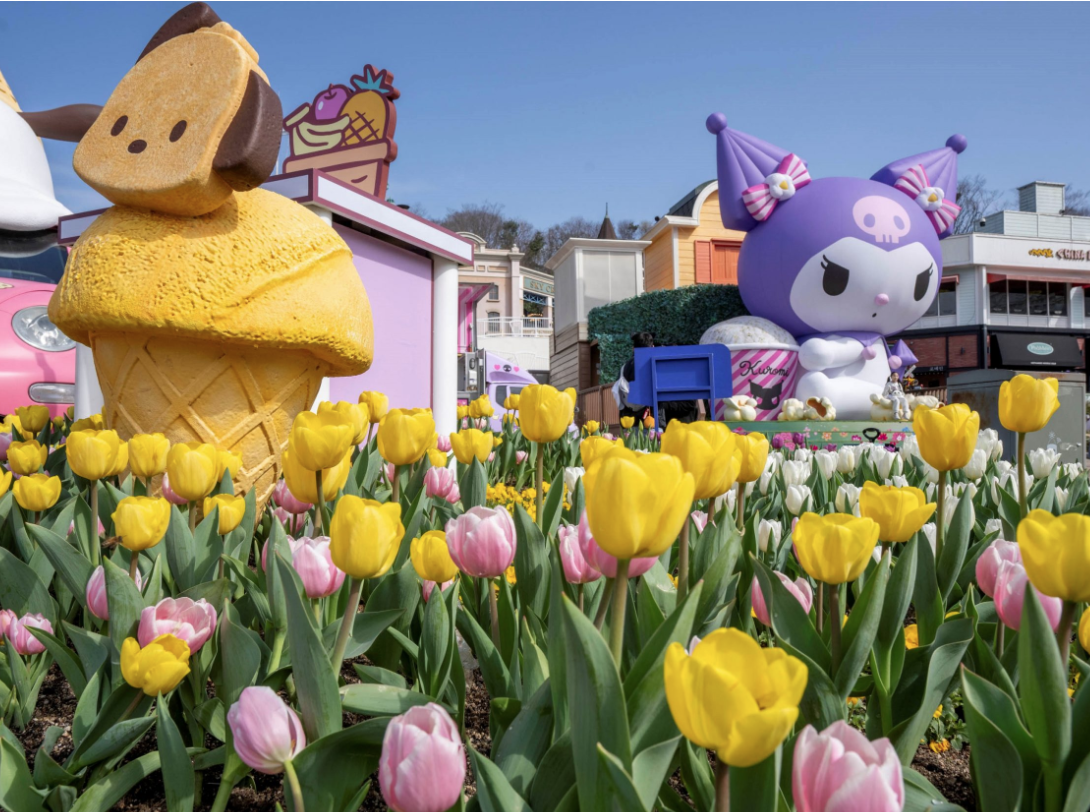 에버랜드 튤립축제 후기｜입장료, 할인, 주차, 꿀팁까지 완벽가이드
