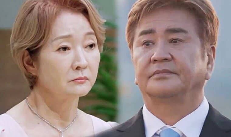 배우-나한일-아내-배우-유혜영