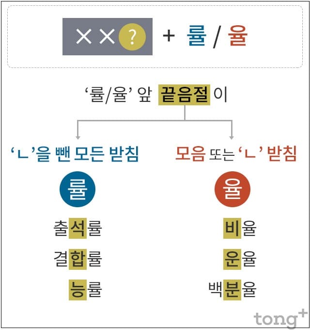 늘 혼동스런 &lsquo;률&rsquo;, &lsquo;율&rsquo;의 사용 구분법