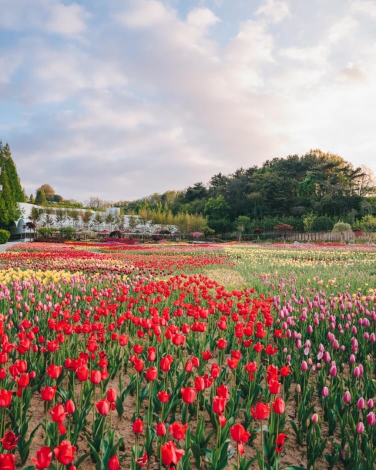대전 세종 충청 4월 축제 일정