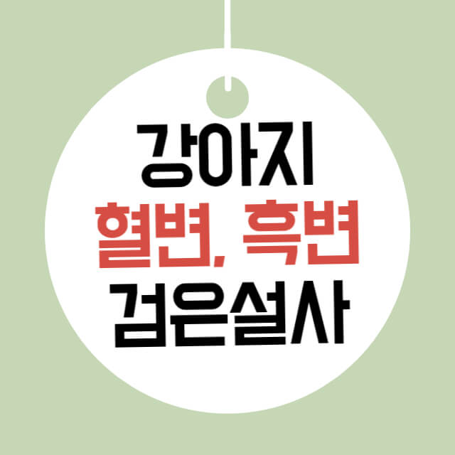 강아지검은설사 흑변 혈변