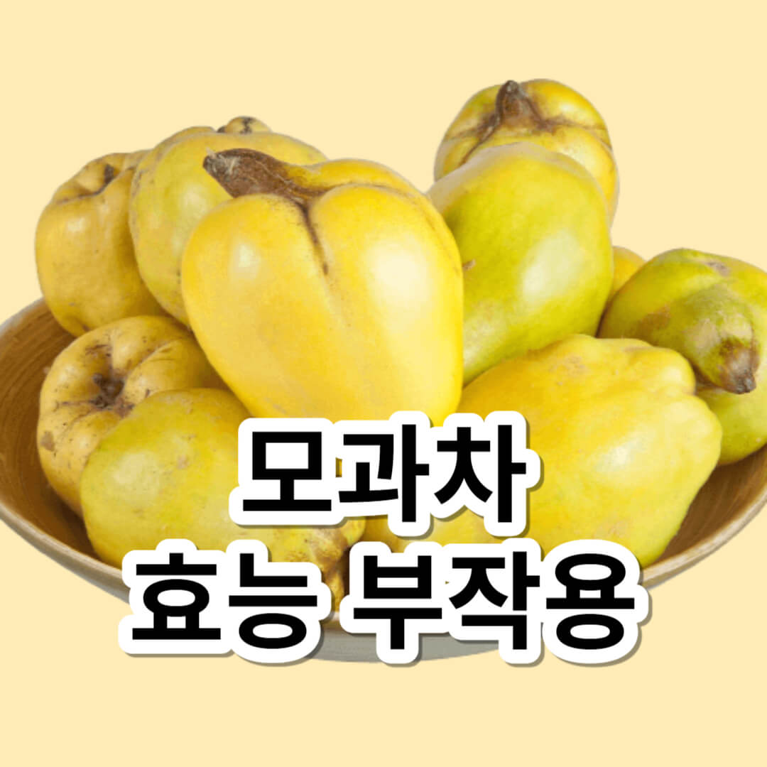 모과차 효능 부작용