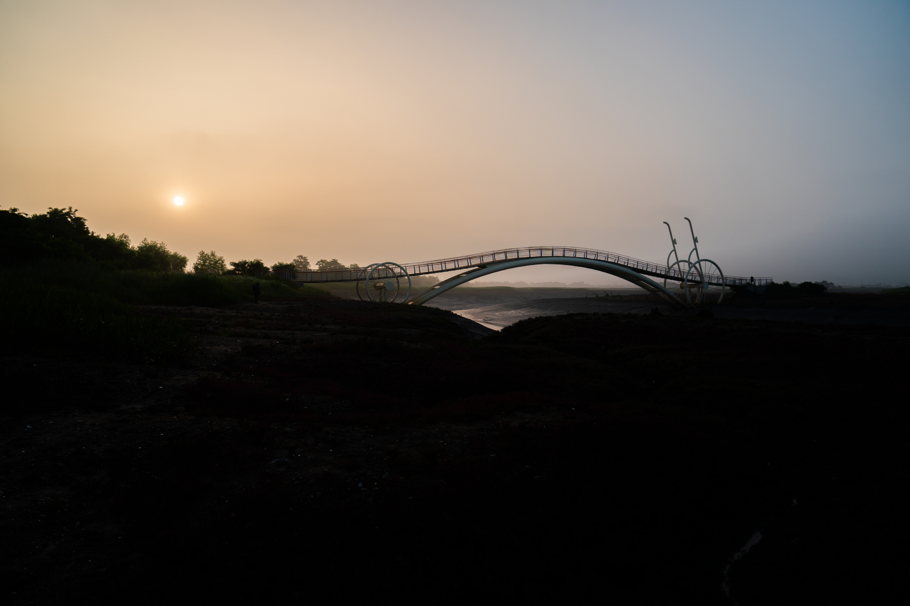 미생의 다리 그리고 일출