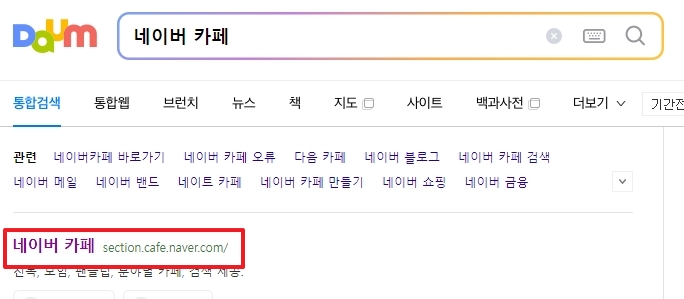 검색창에 네이버 카페를 검색한 결과 화면