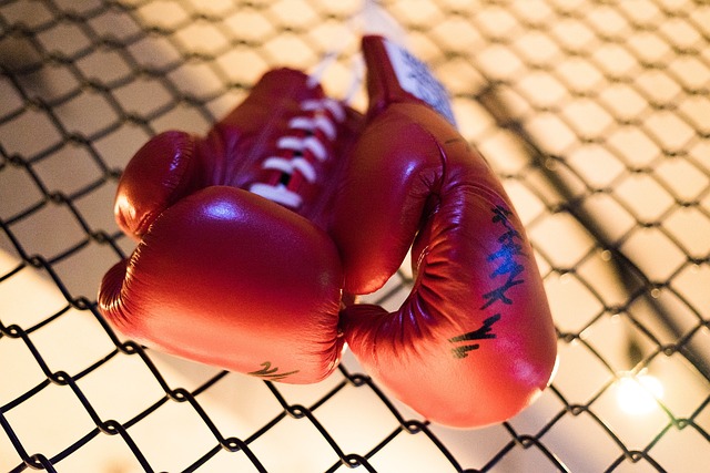 UFC 경기 날짜 시간 대진표 선수 체급 순위 언더독 탑독 중계 방송 글러브