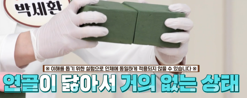 콘드로이친 효능