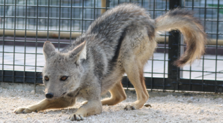 아라마루 아쿠아리움