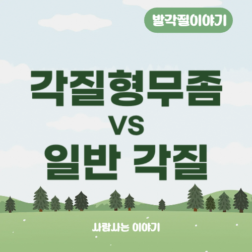 각질형 무좀과 일반 각질의 차이점 ❘ 치료 제품 추천