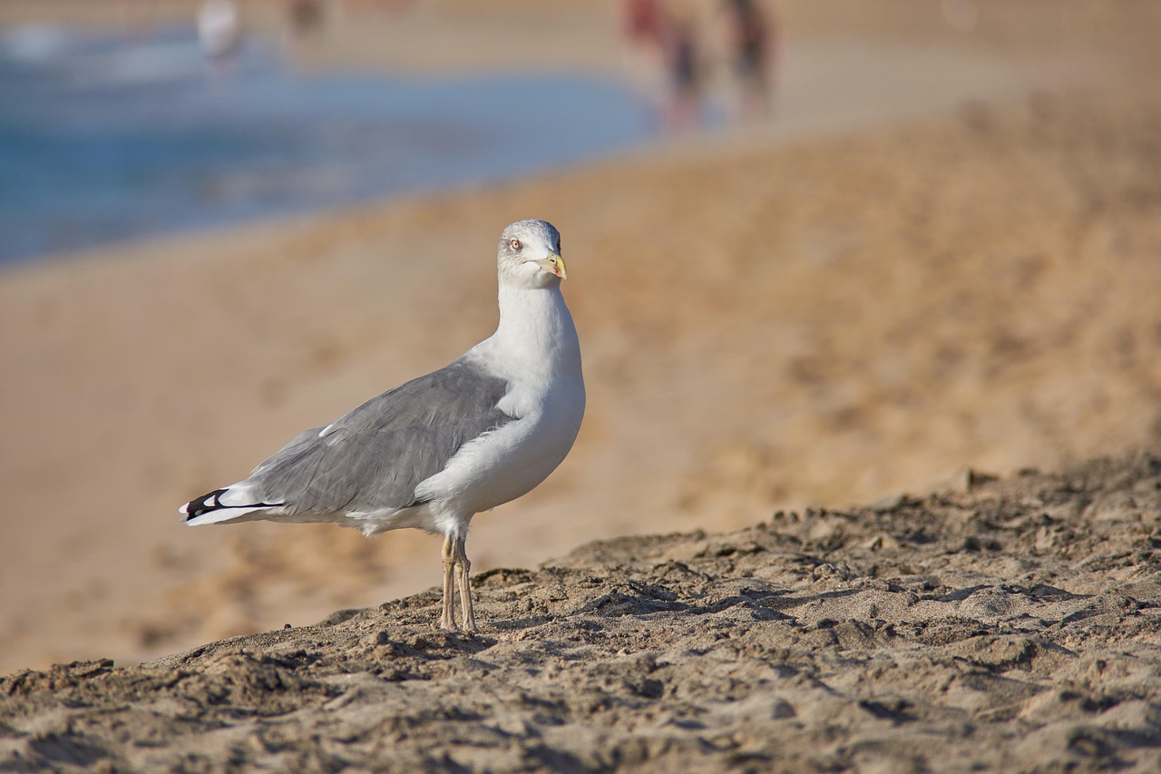 대부도 가볼만한곳 베스트10 2
