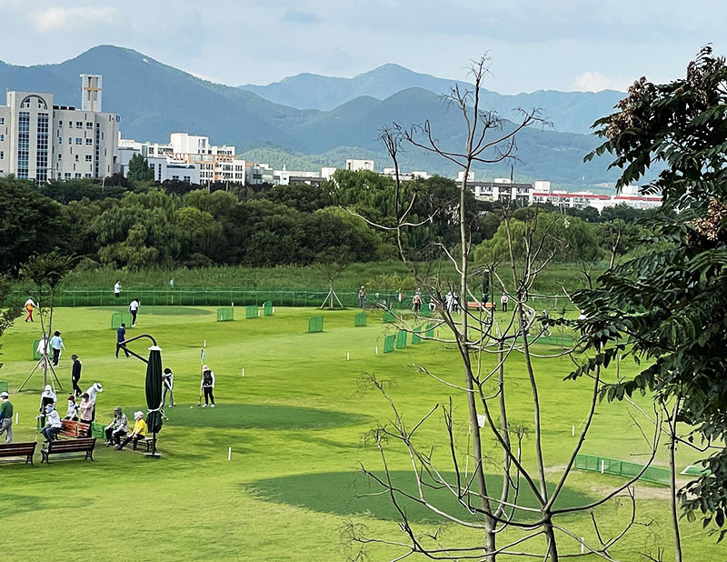 대구 수성파크골프장. 대구시 수성구 고모동 6-2 (수성패밀리파크 맞은편)
