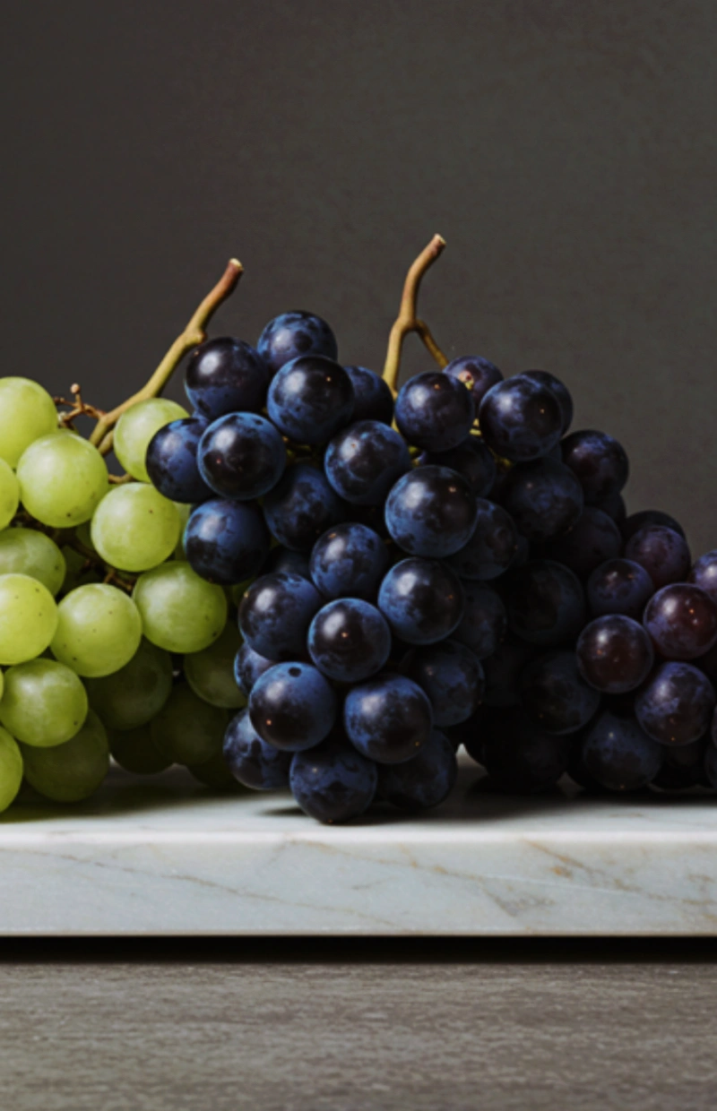 로얄바인 포도 후기&amp;#44; 로얄바인 명품과일 가격&amp;#44; 로얄바인 프리미엄 포도 구매&amp;#44; 로얄바인 선물세트&amp;#44; 프리미엄 과일 수익성 작물&amp;#44; 부자과일 인기순위&amp;#44; 고소득층 과일 추천&amp;#44; 신세계백화점 로얄바인&amp;#44; 명절 고급 과일 선물&amp;#44; 클럽재배 과일 뜻&amp;#44; 명품 과일&amp;#44; 프리미엄 포도&amp;#44; 농가 수익성 작물&amp;#44; 프리미엄 과일 투자&amp;#44; 백화점 과일 선물세트&amp;#44; 추석 과일 선물 추천